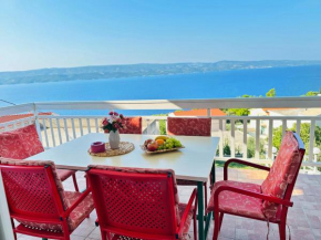 Apartmani Milica Vila Roing
